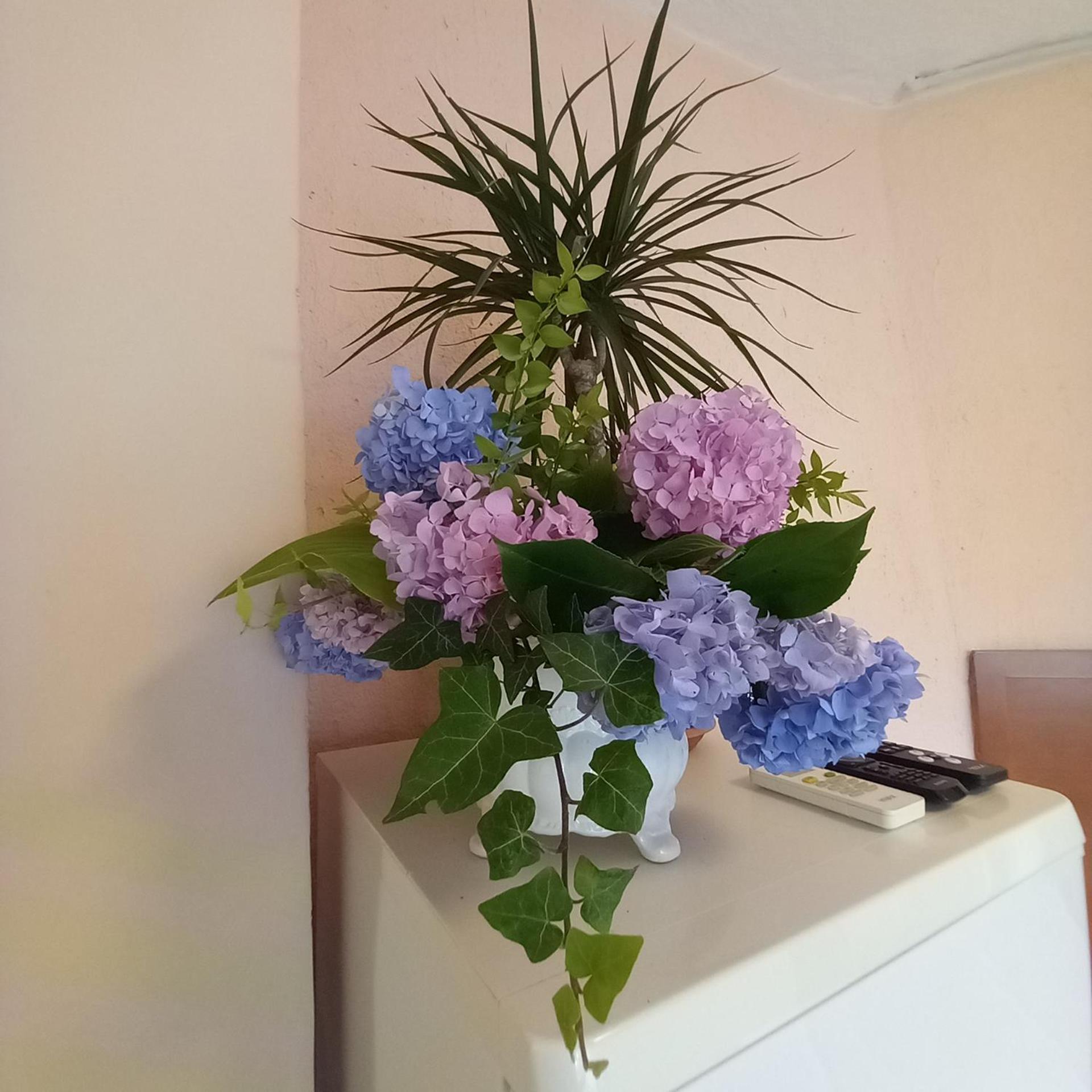 Villa Maria 오파티아 외부 사진