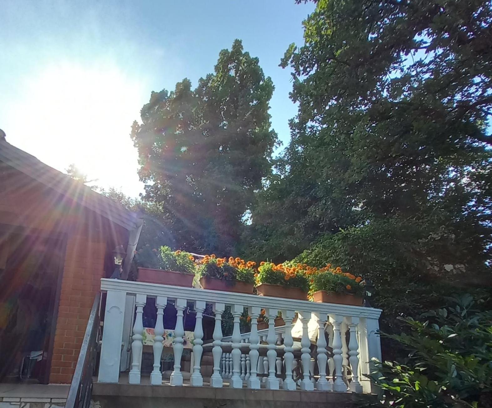 Villa Maria 오파티아 외부 사진