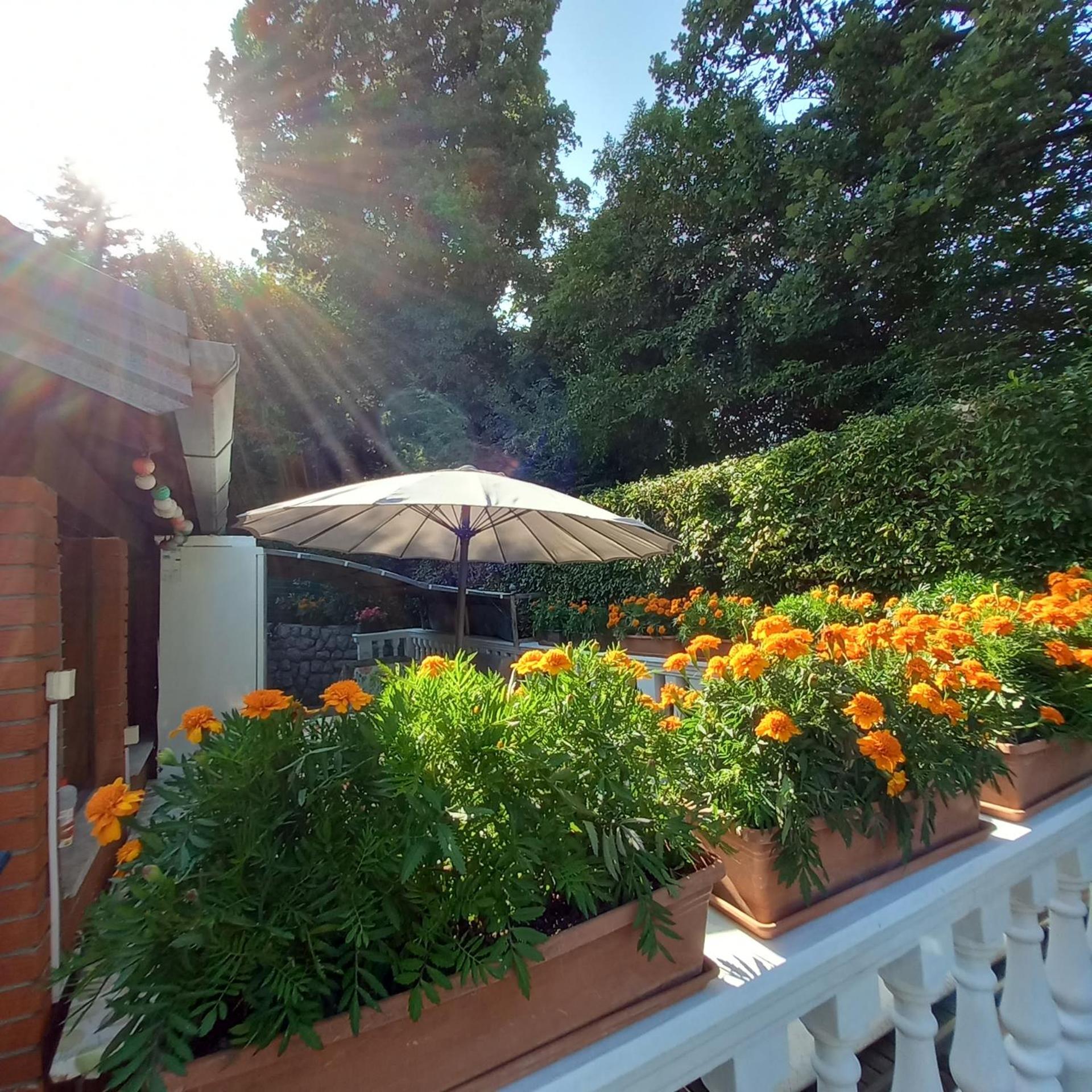 Villa Maria 오파티아 외부 사진