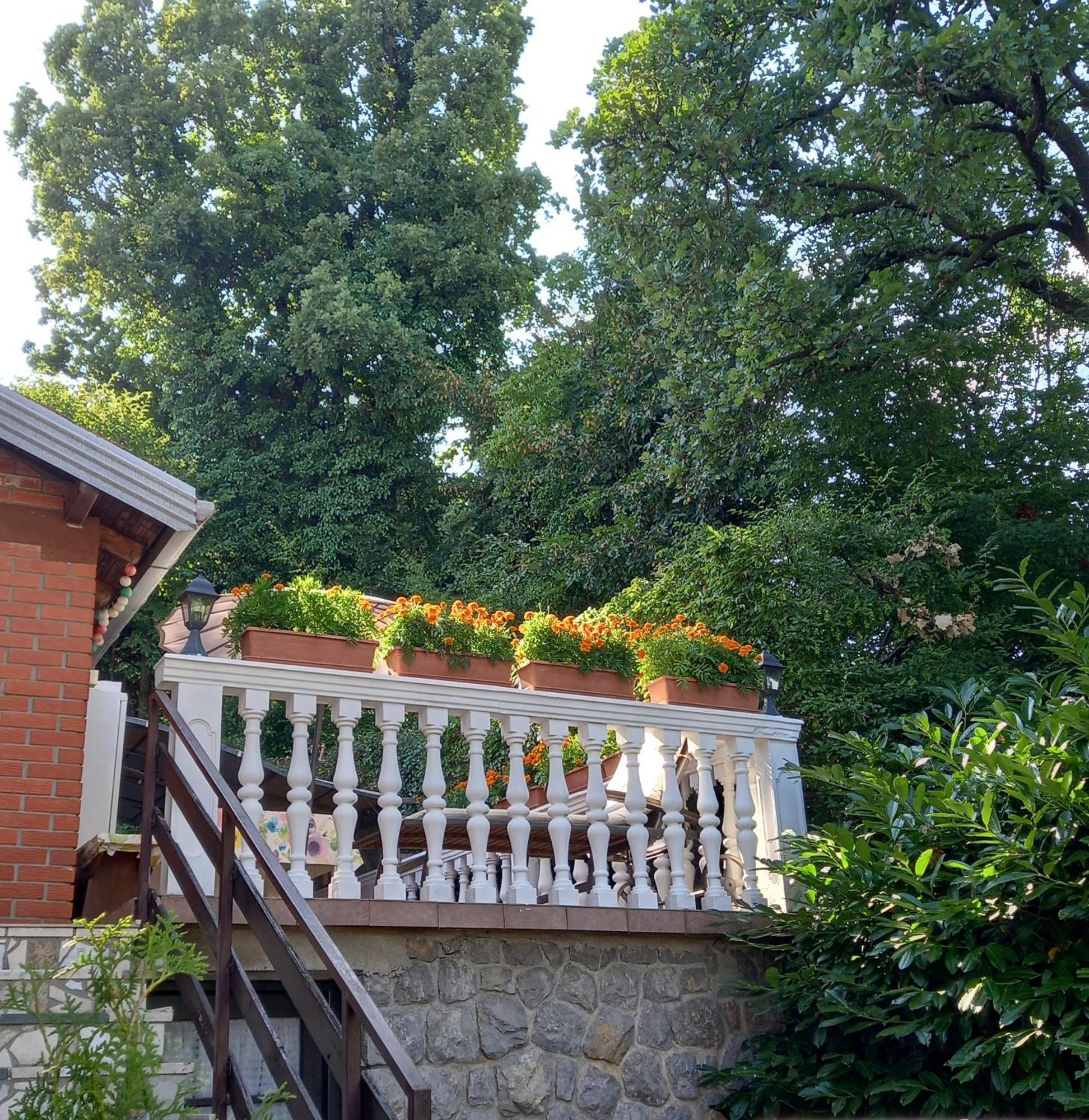 Villa Maria 오파티아 외부 사진